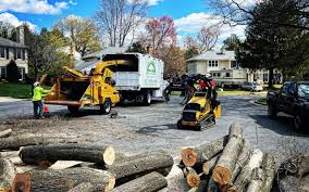 Pleasant Prairie, WI Tree Services Company