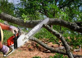 Mulching Services in Pleasant Prairie, WI